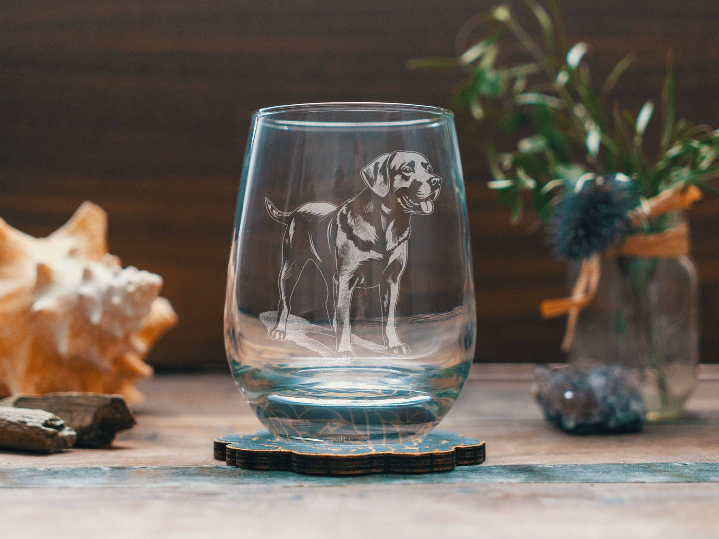 Labrador Retriever Dog Breed DOF