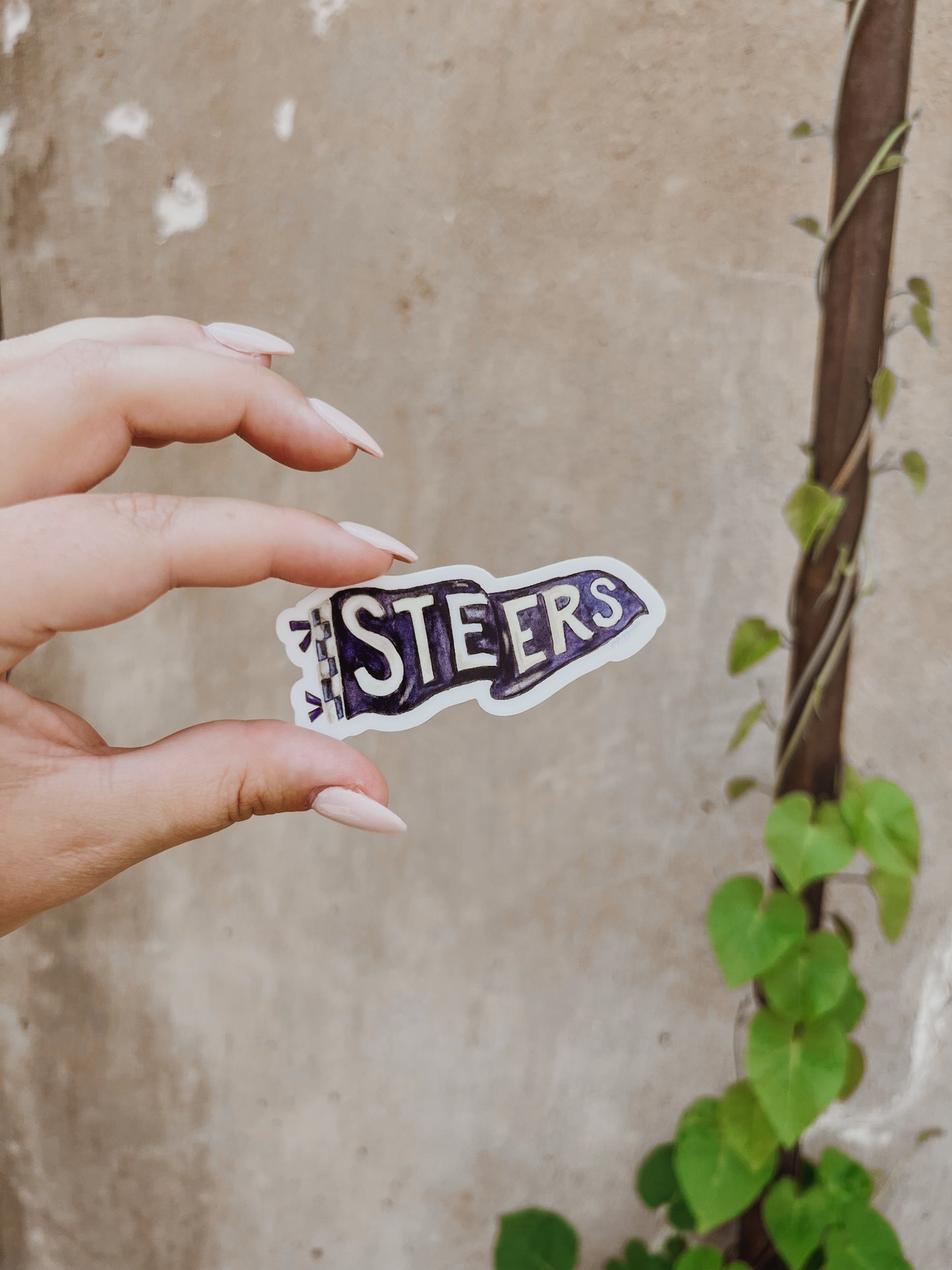 Steers Pennant Sticker