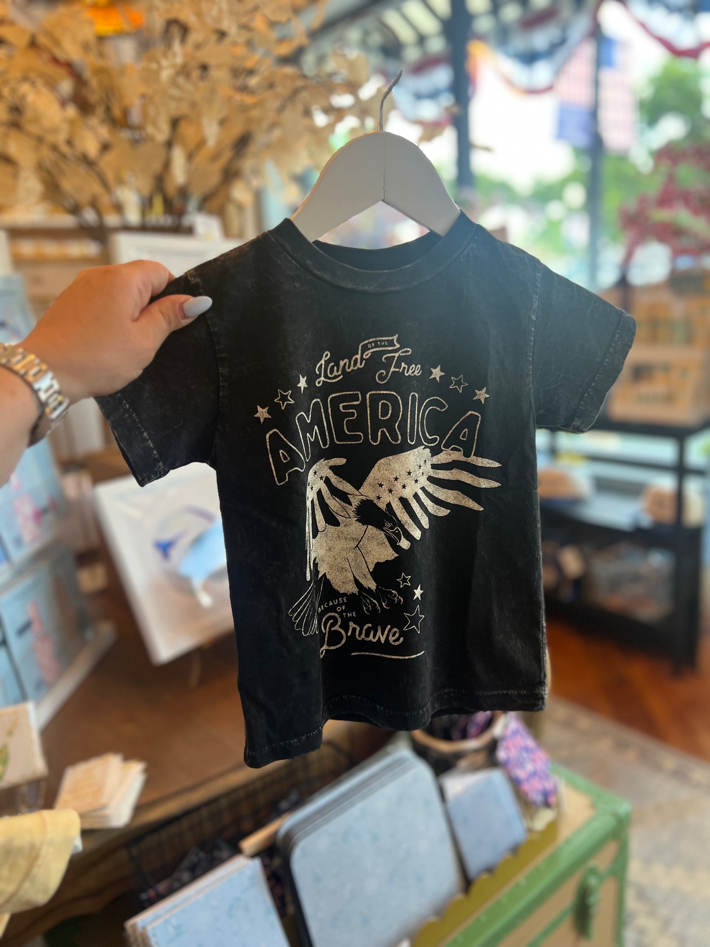 LAND OF THE FREE Toddler Graphic Top
