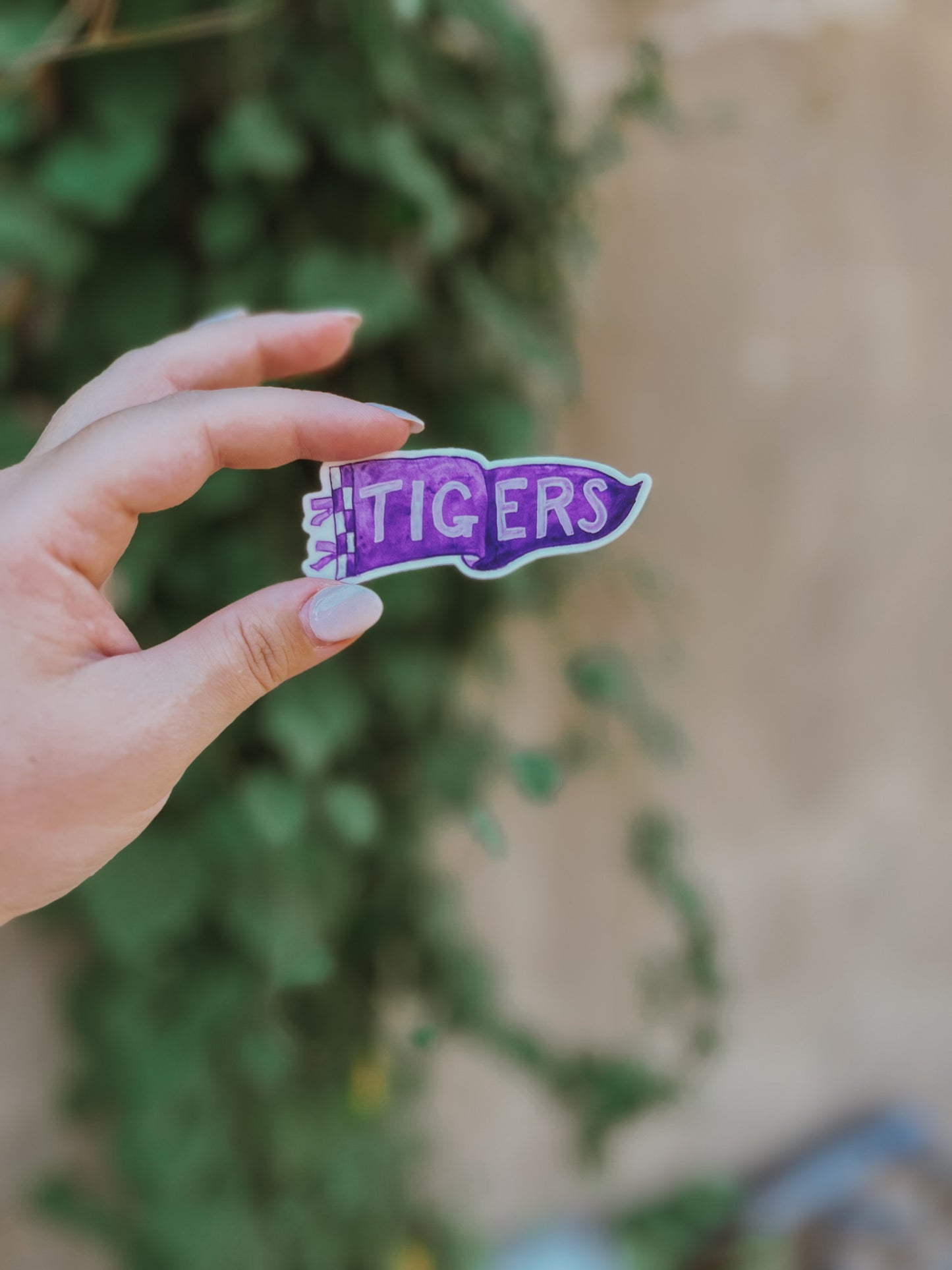 Jacksboro Tiger Pennant Sticker