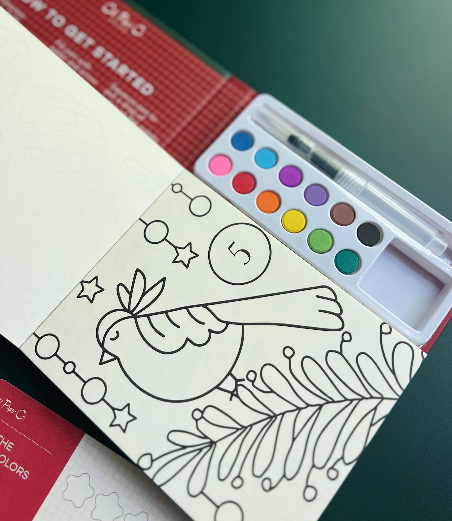 Watercolor Book and Paint Set - Advent Calendar